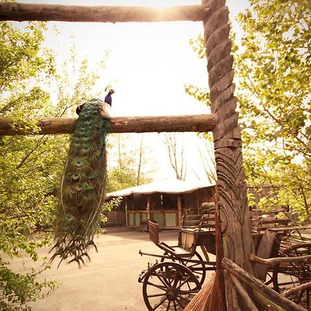 Bamboo Lodge Гронинген Экстерьер фото